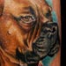 tattoo galleries/ - Roxy the boxer - 31023
