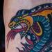tattoo galleries/ - snake - 57037