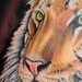 tattoo galleries/ - Tiger - 47679
