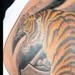 tattoo galleries/ - Tiger
