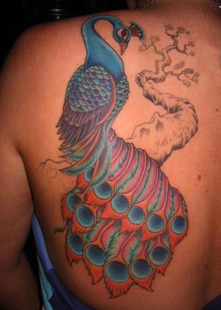 Tattoos - Kurt Brown - Peacock Back Piece