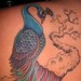 Tattoos - Peacock Back Piece - 36298