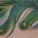 tattoo galleries/ - peacock feather tattoo - 39654