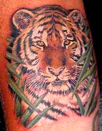 Tattoos - Dee Dee - Realistic Tiger Tattoo