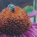 Tattoos - echinacea and green bee - 42259
