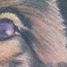 Tattoos - Man's best friend - 45869