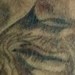 Tattoos -  - 41337