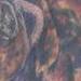 tattoo galleries/ - shoulder polar bear tattoo by mario sanchez - 56652