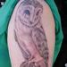 tattoo galleries/ - realistic owl by mario sanchez - 57597