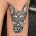 Tattoos - miniature color dog by Mario Sanchez - 61676
