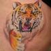 Tattoos - Realistic Tiger by Mario Sanchez - 67568