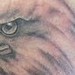 tattoo galleries/ - untitled