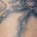 tattoo galleries/ - untitled - 46982