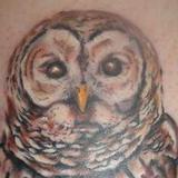 Owl Tattoo Design Thumbnail