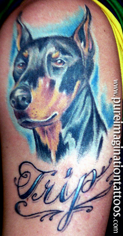 Tattoos - Lettering tattoos - Doberman Doggy Portrait