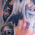 tattoo galleries/ - Doberman Doggy Portrait - 9787