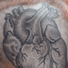 tattoo galleries/ - anatomical heart
