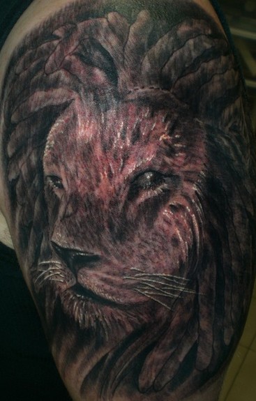 Tattoos Blackwork tattoos Lion Dreads click to view large image