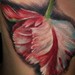 tattoo galleries/ - New Moon - 50766
