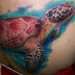 tattoo galleries/ - Sea Turtle