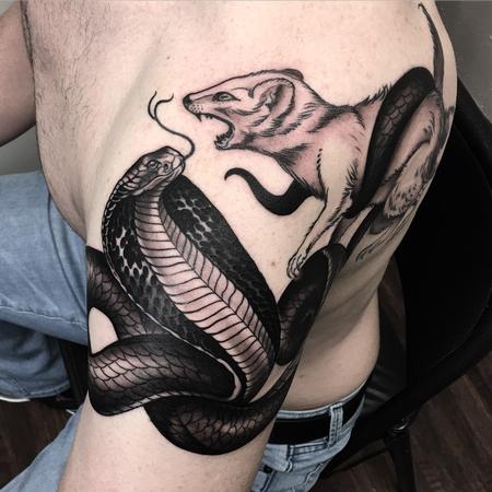 David Mushaney - Cobra and Mongoose Black and Grey Tattoo