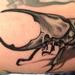Tattoos - Black and Gray Rhinoceros Beetle  - 75188
