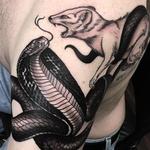 Tattoos - Cobra and Mongoose Black and Grey Tattoo - 119403