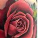 Tattoos - Pink Rose and Compass Forearm Tattoo - 73782