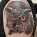 Owl Tattoo Thumbnail