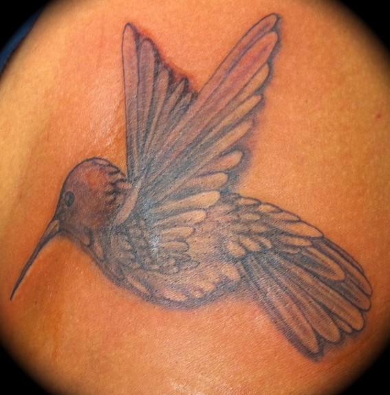 Tattoos Black and Gray Hummingbird Now viewing image 17 of 83 previous 