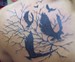 Tattoos - Crazy crows - 51236