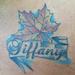 tattoo galleries/ - leaf - 60463