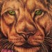 tattoo galleries/ - untitled