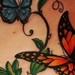 tattoo galleries/ - untitled - 50526