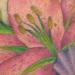 tattoo galleries/ - Flower 1/2 Sleeve 1