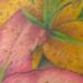 tattoo galleries/ - Flower 1/2 Sleeve 3 - 56811