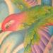 tattoo galleries/ - HummingBird