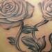 Tattoos - Roses - 64876
