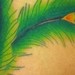Tattoos - Fan Out Your Feathers - 52843