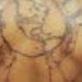 Tattoos - begining of a backpiece - 51351