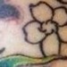 Tattoos - traditional dragon - 51328