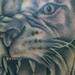 Tattoos - RAWR! - 64871