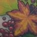 tattoo galleries/ - seasons