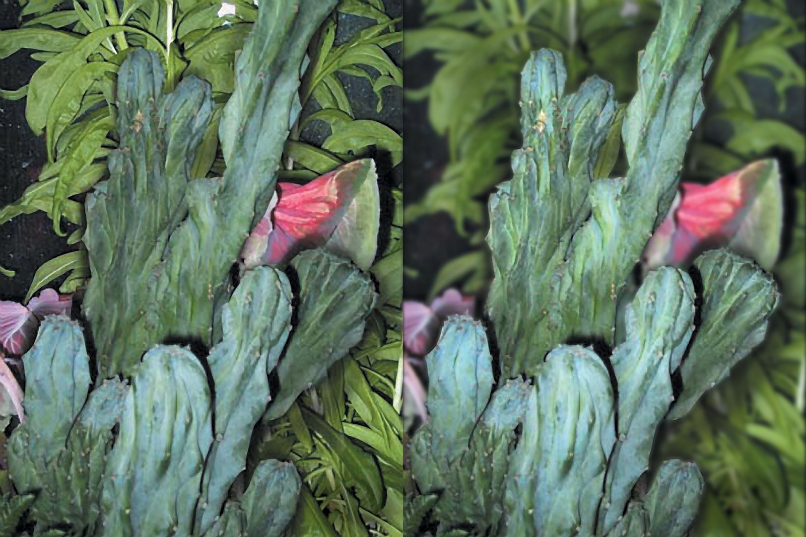 Fig. 42a & 42b