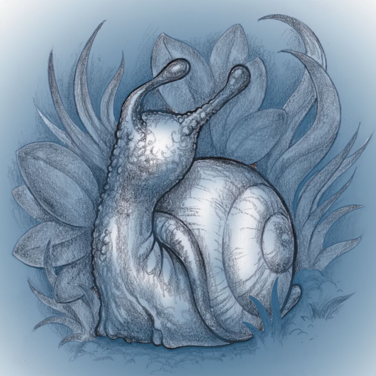 Fig. 27c