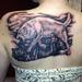 wolf fighting  Tattoo Design Thumbnail