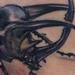 Tattoos - Realistic Beetle Tattoo - 65835