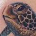 Tattoos - Sea Turtle - 66278