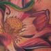 lotus flower Tattoo Design Thumbnail
