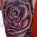 tattoo galleries/ - Purple Rose Tattoo - 59236